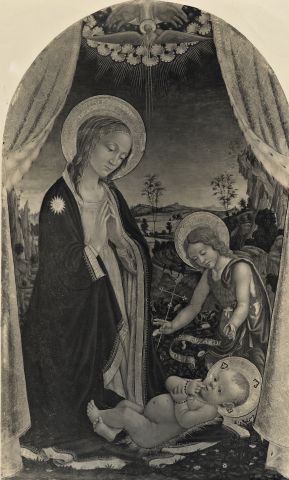 Gibbes Museum of Art — Madonna in Adoration. Jacopo Sellaio — insieme, foto rovesciata